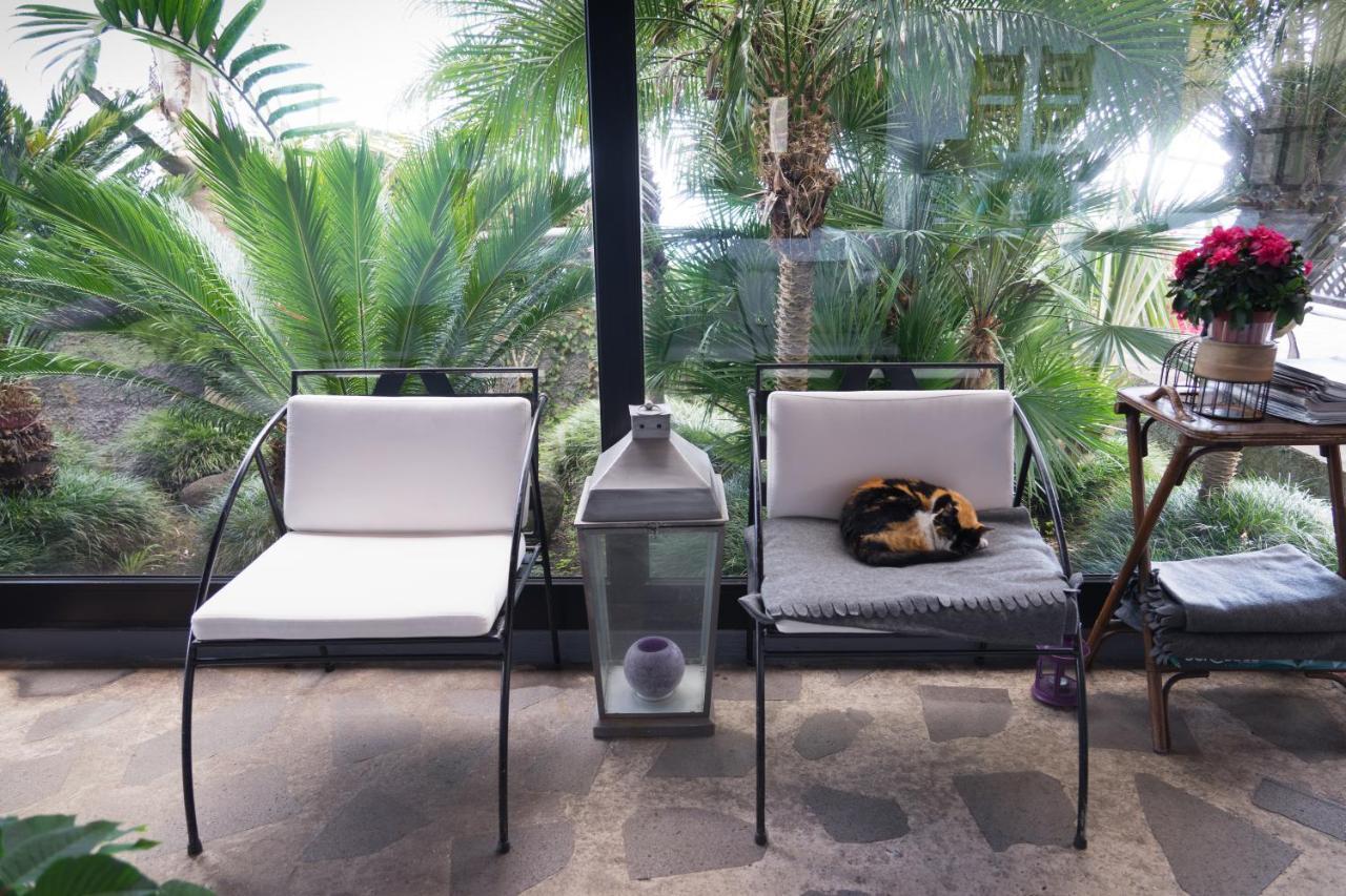 Casa Das Proteas São Jorge Exteriér fotografie